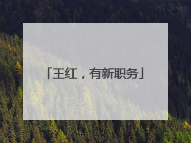 王红，有新职务
