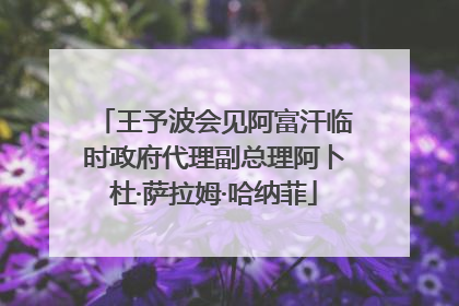 王予波会见阿富汗临时政府代理副总理阿卜杜·萨拉姆·哈纳菲
