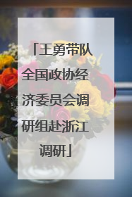 王勇带队全国政协经济委员会调研组赴浙江调研