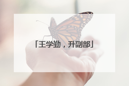 王学勤，升副部