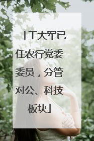 王大军已任农行党委委员，分管对公、科技板块