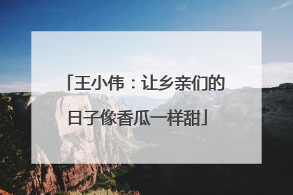 王小伟：让乡亲们的日子像香瓜一样甜