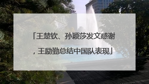 王楚钦、孙颖莎发文感谢，王励勤总结中国队表现