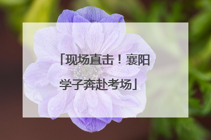 现场直击！襄阳学子奔赴考场