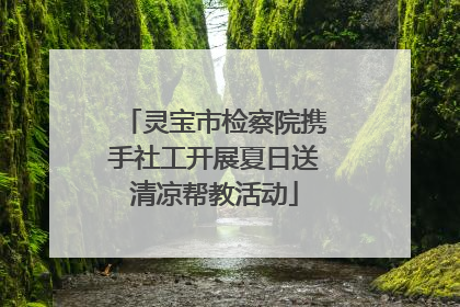 灵宝市检察院携手社工开展夏日送清凉帮教活动