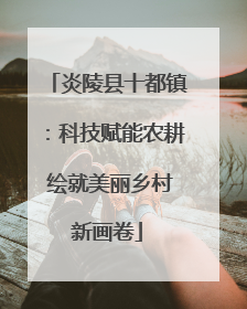 炎陵县十都镇：科技赋能农耕 绘就美丽乡村新画卷