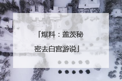 爆料：盖茨秘密去白宫游说