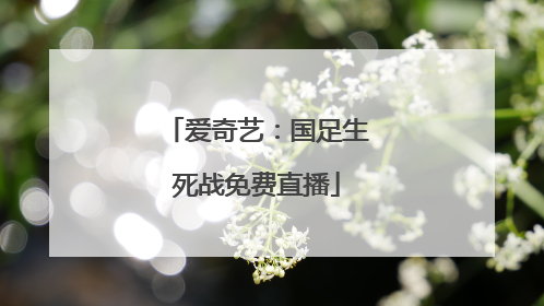 爱奇艺：国足生死战免费直播