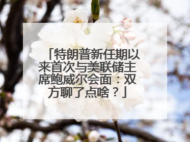 特朗普新任期以来首次与美联储主席鲍威尔会面：双方聊了点啥？