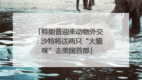 特朗普迎来动物外交：沙特将送两只“大猫咪”去美国首都