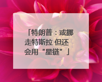 特朗普：或挪走特斯拉 但还会用“星链”