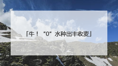 牛！“0”水种出丰收麦