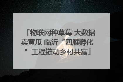 物联网种草莓 大数据卖黄瓜 临沂“四雁孵化”工程链动乡村共富