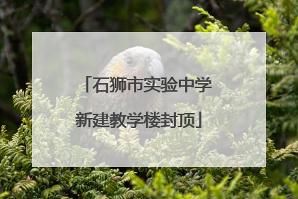 石狮市实验中学新建教学楼封顶