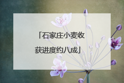 石家庄小麦收获进度约八成