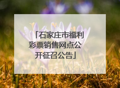 石家庄市福利彩票销售网点公开征召公告