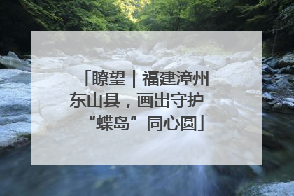 瞭望｜福建漳州东山县，画出守护“蝶岛”同心圆