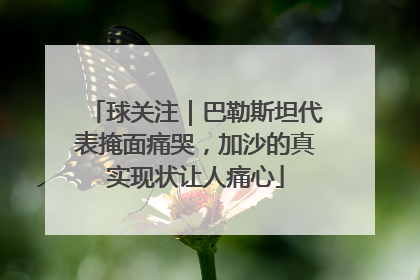 球关注｜巴勒斯坦代表掩面痛哭，加沙的真实现状让人痛心