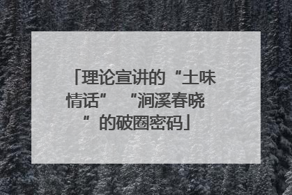 理论宣讲的“土味情话” “涧溪春晓”的破圈密码