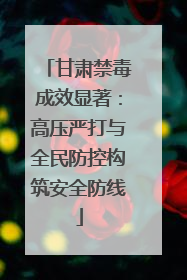 甘肃禁毒成效显著：高压严打与全民防控构筑安全防线