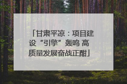 甘肃平凉：项目建设“引擎”轰鸣 高质量发展奋战正酣