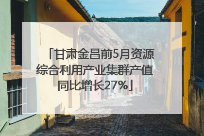 甘肃金昌前5月资源综合利用产业集群产值同比增长27%