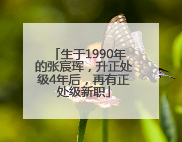 生于1990年的张宸珲，升正处级4年后，再有正处级新职
