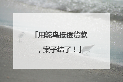 用鸵鸟抵偿货款，案子结了！
