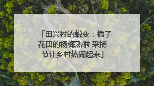 田兴村的蜕变：栀子花田的杨梅熟啦 采摘节让乡村热闹起来