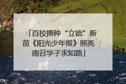 百校播种“立德”新苗《阳光少年报》照亮南召学子求知路