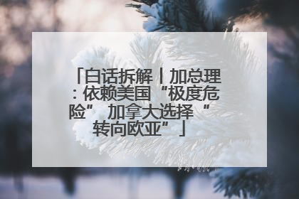 白话拆解丨加总理：依赖美国“极度危险” 加拿大选择“转向欧亚”