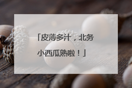 皮薄多汁，北务小西瓜熟啦！