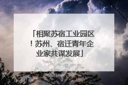 相聚苏宿工业园区！苏州、宿迁青年企业家共谋发展
