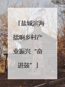 盐城滨海擂响乡村产业振兴“奋进鼓”
