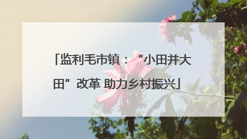 监利毛市镇：“小田并大田”改革 助力乡村振兴