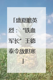 盛夏瞻英烈：“铁血军长”王德泰令敌胆寒