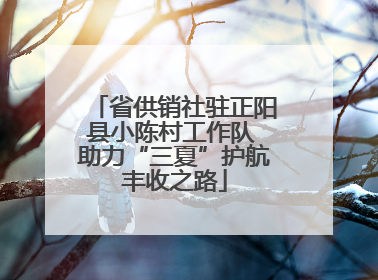 省供销社驻正阳县小陈村工作队 助力“三夏”护航丰收之路