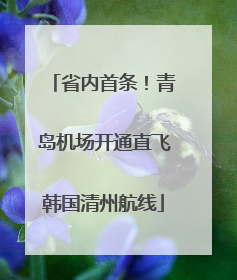 省内首条！青岛机场开通直飞韩国清州航线