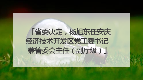 省委决定，杨旭东任安庆经济技术开发区党工委书记兼管委会主任（副厅级）