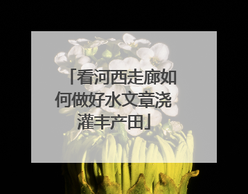 看河西走廊如何做好水文章浇灌丰产田