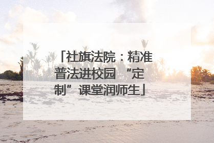 社旗法院：精准普法进校园 “定制”课堂润师生