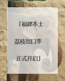 福建本土荔枝出口季正式开启
