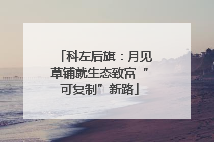 科左后旗：月见草铺就生态致富“可复制”新路