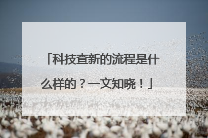 科技查新的流程是什么样的？一文知晓！
