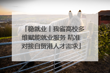 稳就业丨我省高校多维赋能就业服务 精准对接自贸港人才需求