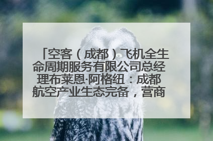 空客（成都）飞机全生命周期服务有限公司总经理布莱恩·阿格纽：成都航空产业生态完备，营商环境优势显著