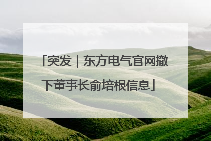突发｜东方电气官网撤下董事长俞培根信息