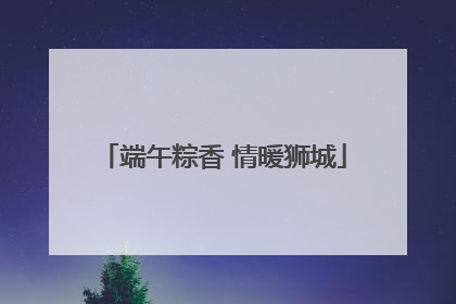 端午粽香 情暖狮城