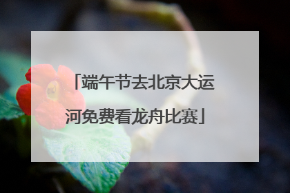 端午节去北京大运河免费看龙舟比赛