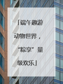 端午趣游动物世界，“粽享”量级欢乐